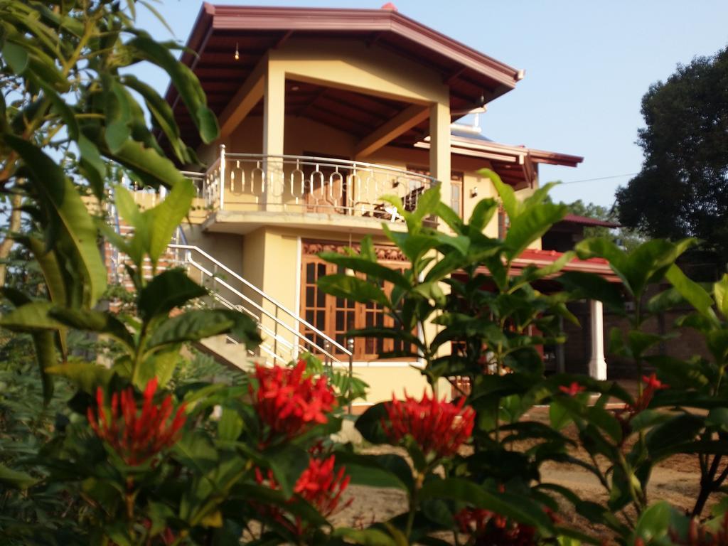 Sigiriya Peacock Homestay Kültér fotó