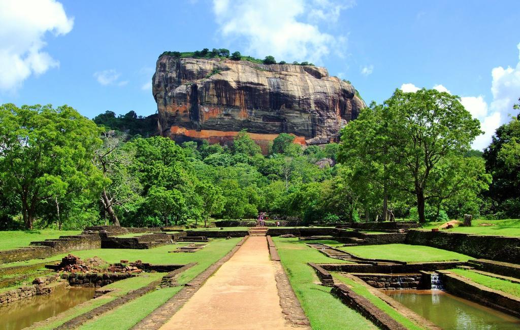 Sigiriya Peacock Homestay Kültér fotó