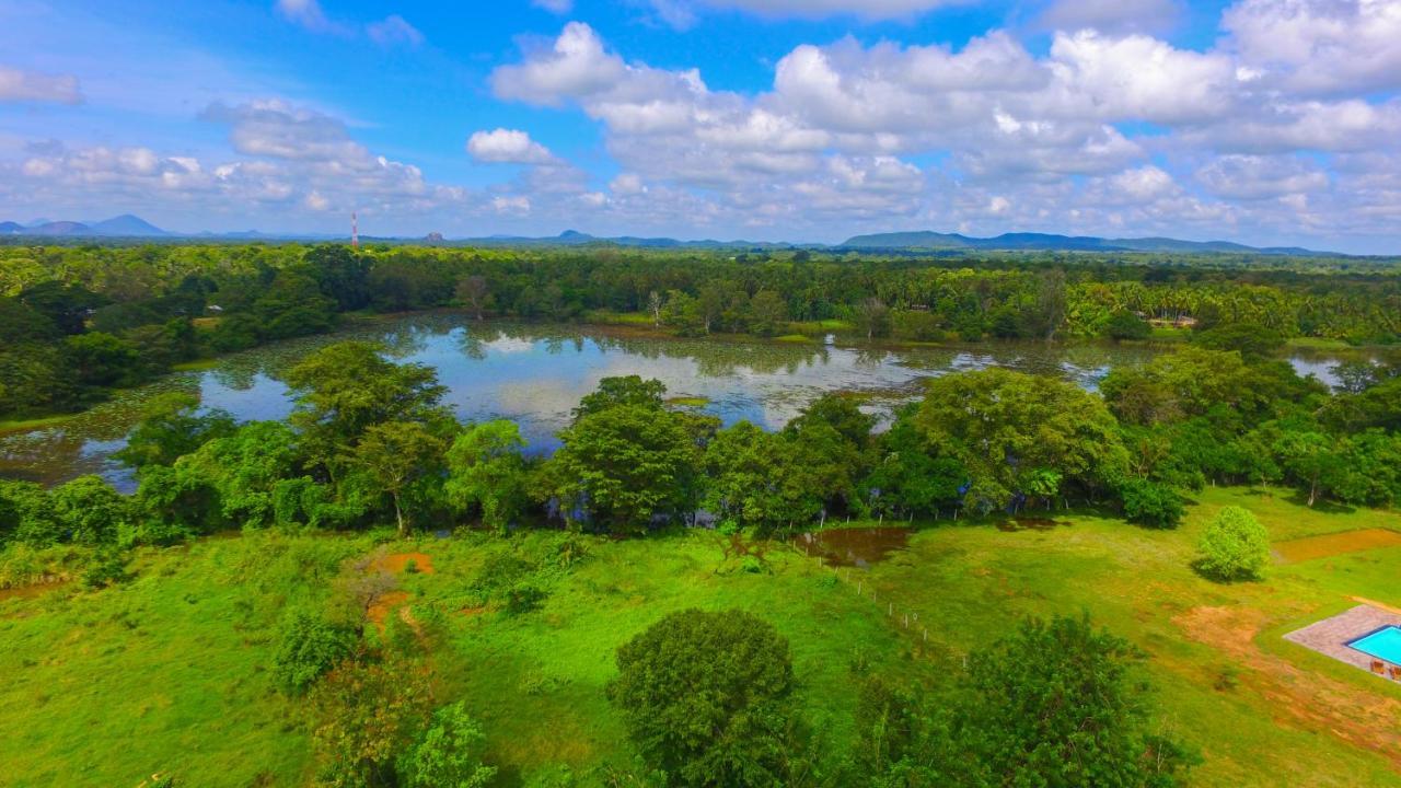 Sigiriya Peacock Homestay Kültér fotó